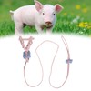 Pet Pig Vest Harness with Leash Set EscapeProof Walking Harness