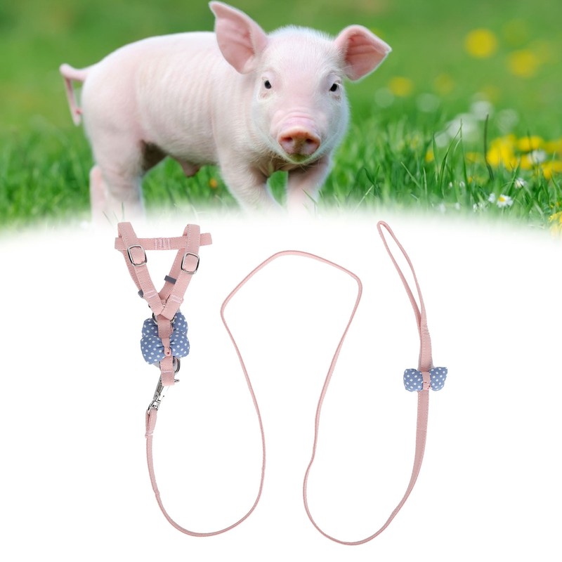Pet Pig Vest Harness with Leash Set EscapeProof Walking Harness