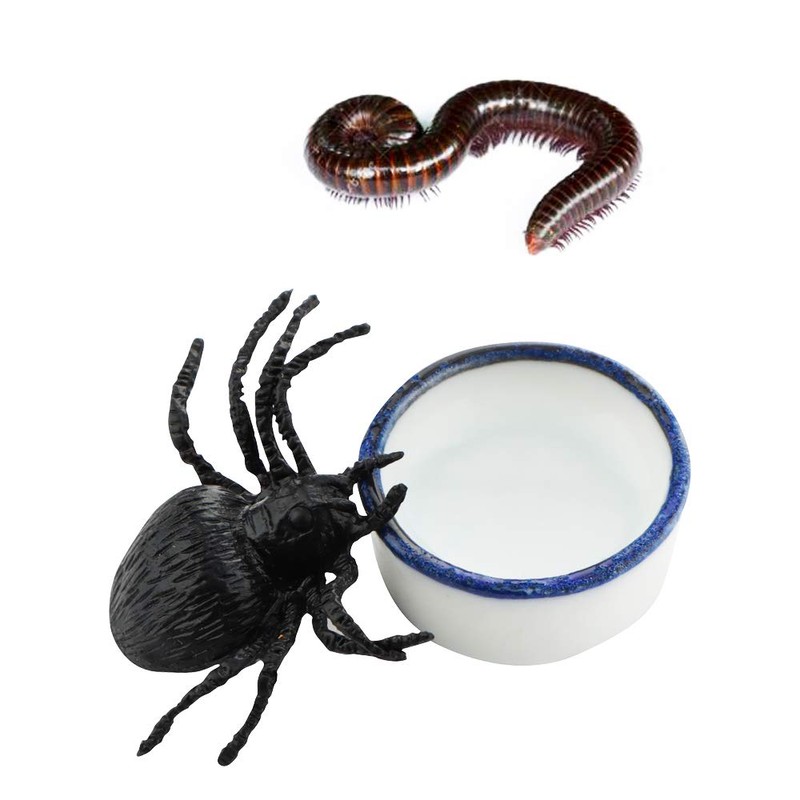 6 Pcs Spider Micro Water Bowl Mini Ceramic Dish for