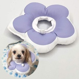 Neck Collar ZF Purple Dog Cat Cushion Blooming M / 넥카라 ZF 퍼플 강아지 고양이 쿠션 꽃피는 M