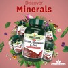 Natures Aid Calcium, Magnesium and Zinc, Maintain Normal Bones, Teeth