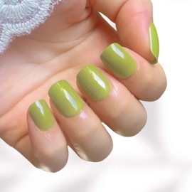 Short Square Press on Nails Green Full Cover Fake Nails Glossy Acrylic Nails Opaque Glue on Nails Reusable Gel Nail Strips 24 Pcs Artificial Nails Removable Stick on Nails for Women