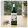Round Lab Pine Tree Soothing Cica Ampoule 50ml x 1