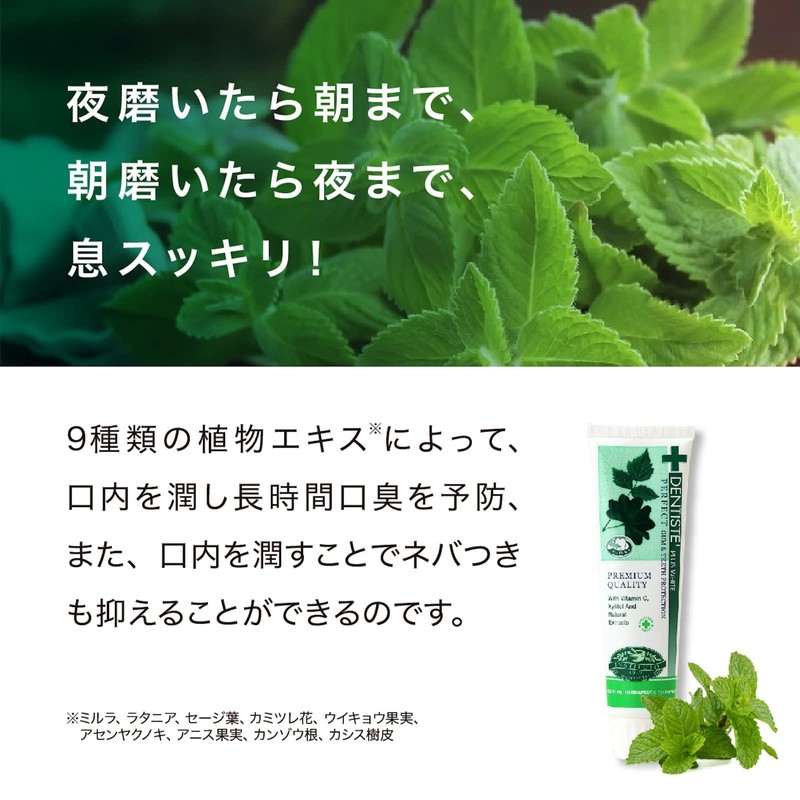 Dentis Tubular Type Toothpaste Powder, Mint Scent, Kiss Immediately Wake