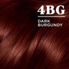 Clairol Nice'n Easy Permanent Hair Dye, 4BG Dark Burgundy Hair