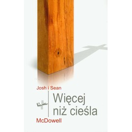 Wiecej niz ciesla