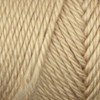 Bulk Buy: Caron Simply Soft Yarn Solids (2-pack) (Bone)