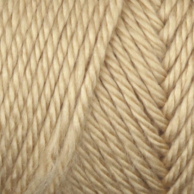 Bulk Buy: Caron Simply Soft Yarn Solids (2-pack) (Bone)