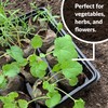 Jiffy Seed Starting Tray Kit, 36 Cell 36mm Peat Pellets