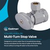 Eastman 1/2 Inch FIP x 3/8 Inch OD Compression Multi-Turn