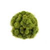 War World Scenics Static Grass Fiber Starter Set 1 -