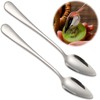 2PCS Grapefruit Spoon, Dessert Spoon Stainless Steel with Serrated Edge,