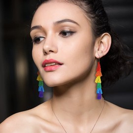 Ymimanchil Rainbow Earrings Pride Earrings for Women Lightweight Rainbow Tassels Earrings Gay Pride Stuff Earrings Pride Jewelry for Girls (C:Style 1)