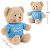 GUND “I'm The Big Brother” Sustainable Message Bear with Blue