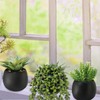 Winlyn Set of 3 Artificial Succulents Plants in Black Cement