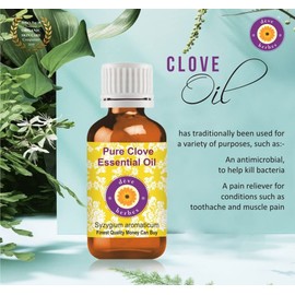 Deve Herbes Pure Clove Essential Oil (Syzygium aromaticum) Natural Therapeutic Grade Steam Distilled (Pack of Two) 100ml X 2 (6.76 oz)