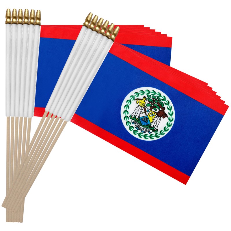 TSMD Belize Stick Flag Belizean Small Mini Hand Held Flags,5x8