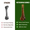 Ostrich Bones for Dogs Metatarsus 100% Natural Long-Lasting Dog Chew