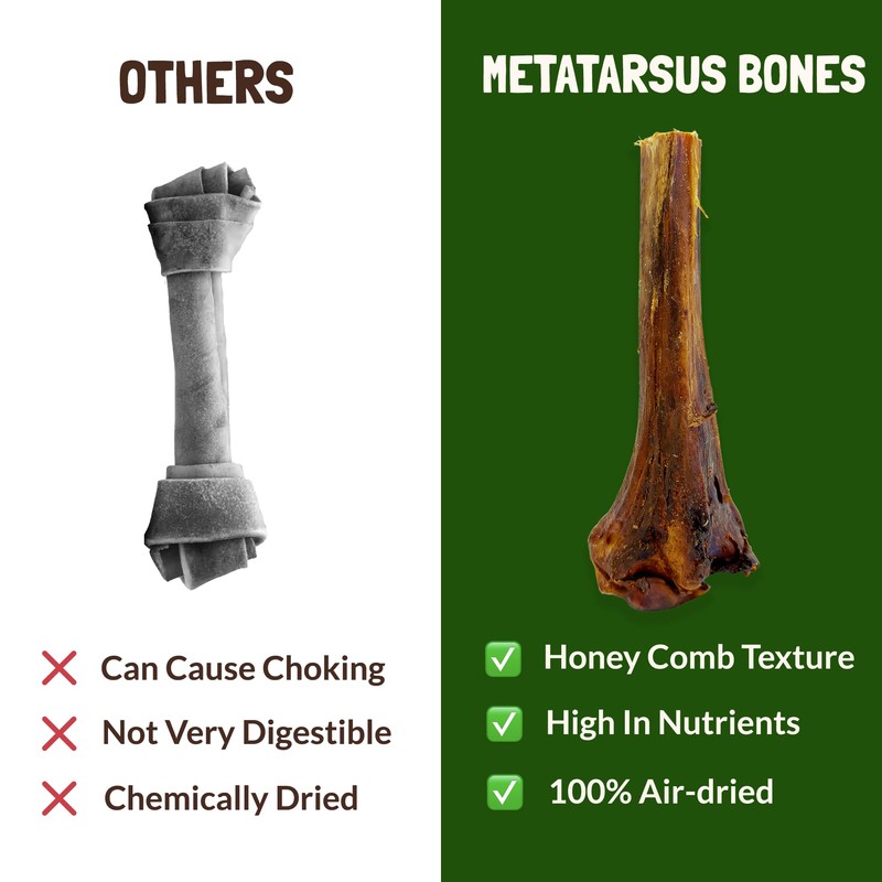 Ostrich Bones for Dogs Metatarsus 100% Natural Long-Lasting Dog Chew