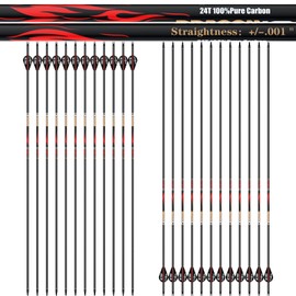 sanlida 24 PCs, 100% Pure Carbon, 0.001'' Straightness, Dragon 10 Flagship 24T Carbon Hunting Arrows for Compound Bow, Professional Standard Hunting Arrows with Removable Tips (310 Spine)