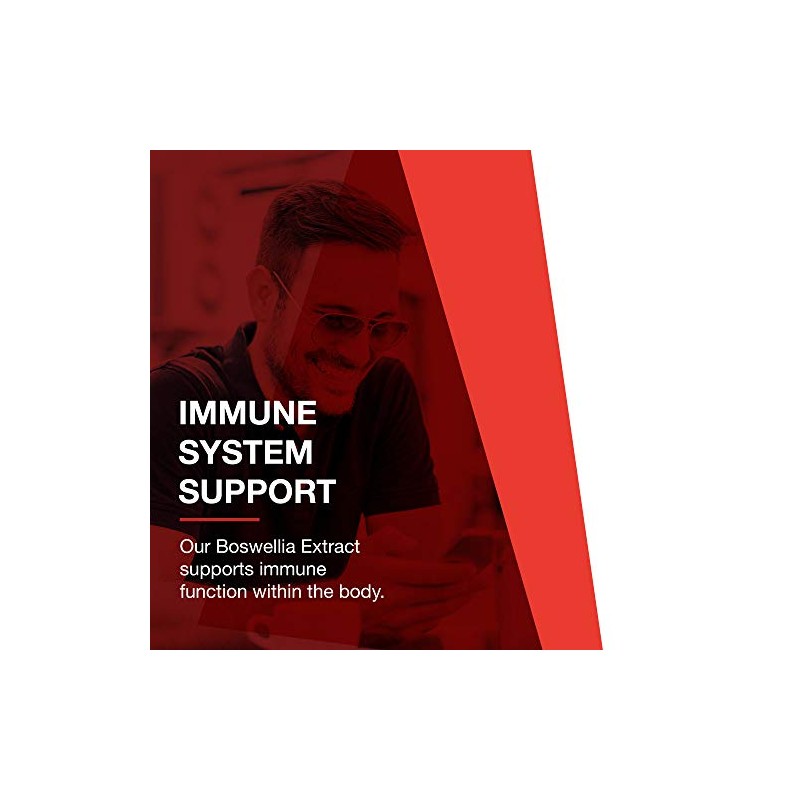 Protocol Boswellia Extract 500mg - Immune Support with MCT Oil