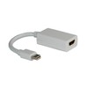 Rotronic Roline Adapter (Convert your Mini Display Port Male to