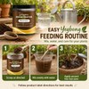 2Pcs Yegbong Soil Activator, Soil Pro Activator, Nauticos SoilActivator