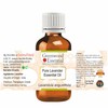 Greenwood Essential Essential Oil Kit 100% Natural Therapeutic Grade 10ml