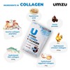 UMZU zuCollagen Multi Collagen Protein Powder, Chocolate – 5 Collagen