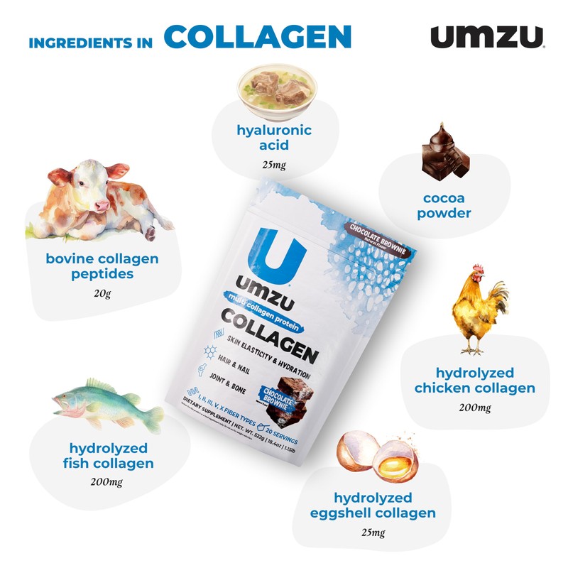 UMZU zuCollagen Multi Collagen Protein Powder, Chocolate – 5 Collagen