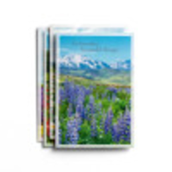 DaySpring - Praying for You - Nature Landscapes - 12 Boxed Cards & Envelopes - 4 Design Assortment with Scripture (J3351)