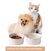 UBEE Ceramic Dog Bowl Set of 2, 5.1 inch Dog