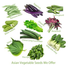 2026 EarlyBird-Sow in Fall/Spring. HipGirl Baby Bok Choy Seeds for Sprouting,Cabbage Seeds for Planting,Microgreen Seed Planting for Home Vegetable Garden-Pak Choi Shanghai(上海青江菜) 2g 700ct