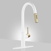 Achelous White and Gold Kitchen Faucet with Pull Down Magnetic