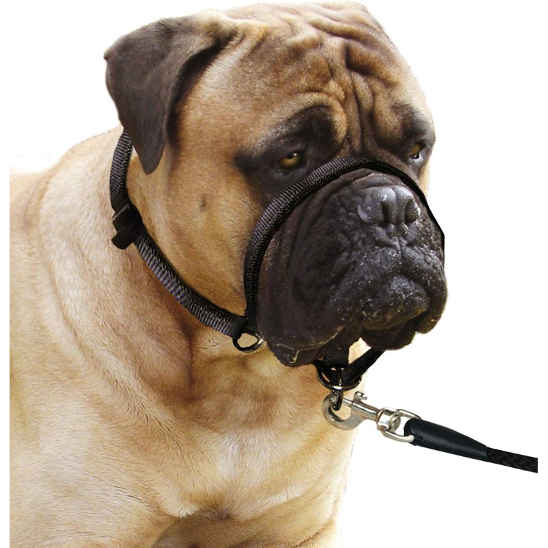 B-Safe 15MMX Reflective Harness (30-45 cm); #511647