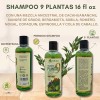 B-Experts 9-Plant Herbal Shampoo 16.9 fl oz–W/Cacahuana