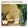 Air Freshener for Home, 4 Pack, Vanilla, Odor Eliminator for