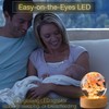 Preserved Red Daisy Crystal Ball Night Light,3D Crystal Ball with