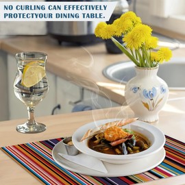 Abstract Candy Coloured Stripes Placemats Set of 4, Place Mats Heat Resistant Washable Non-Slip Table Mats for Party Kitchen Dining Decor 12x18 Inch