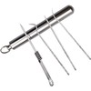 RICISUNG Toothpick Case, Set of 4, Toothpick, Titanium Alloy Toothpick