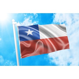 DMSE Chile Chilean La Estrella Solitaria Flag 3X5 Ft Foot 100% Polyester 100D Flag UV Resistant (3'X5' Ft Foot) (3'X5' Ft Foot)