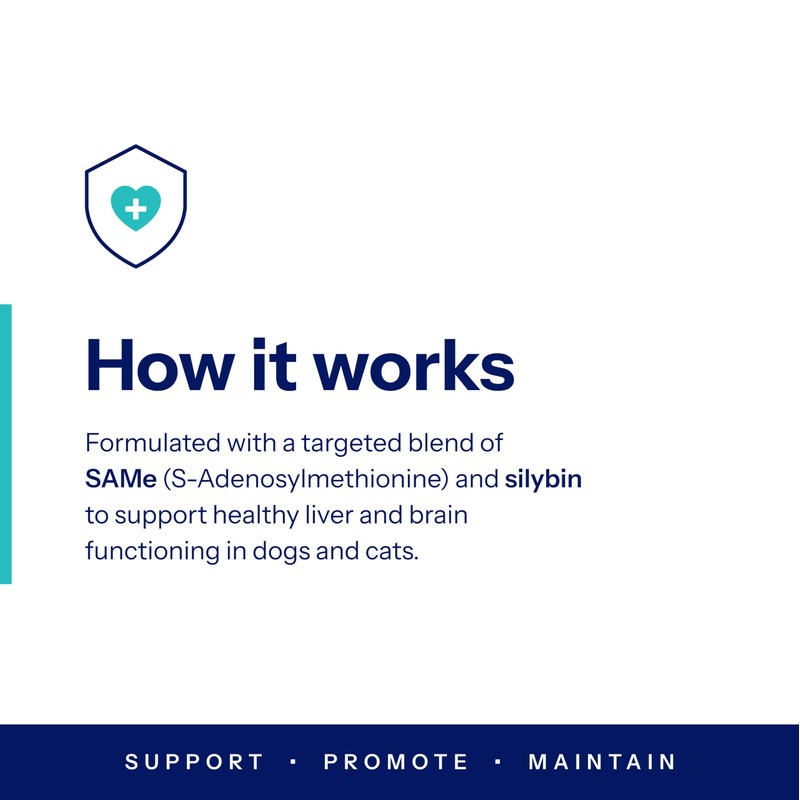 Same Pro Liver Support for Large Dogs, 425mg, Blue, 35-120