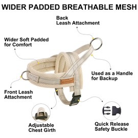 BEAUTYZOO Dog Harness for Small Dogs, No Pull Dog Harness and Leash Set, Soft Escape Proof Puppy Vest Harness with Handle, Reflective Lightweight Step in Harness for Girl Boy Dogs, Beige S