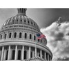 Lais Puzzle US Flag Front of Capitol in Black White