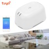 Smart Water Leak Sensor Wireless Leakage Alarm for TUYA Zigbee