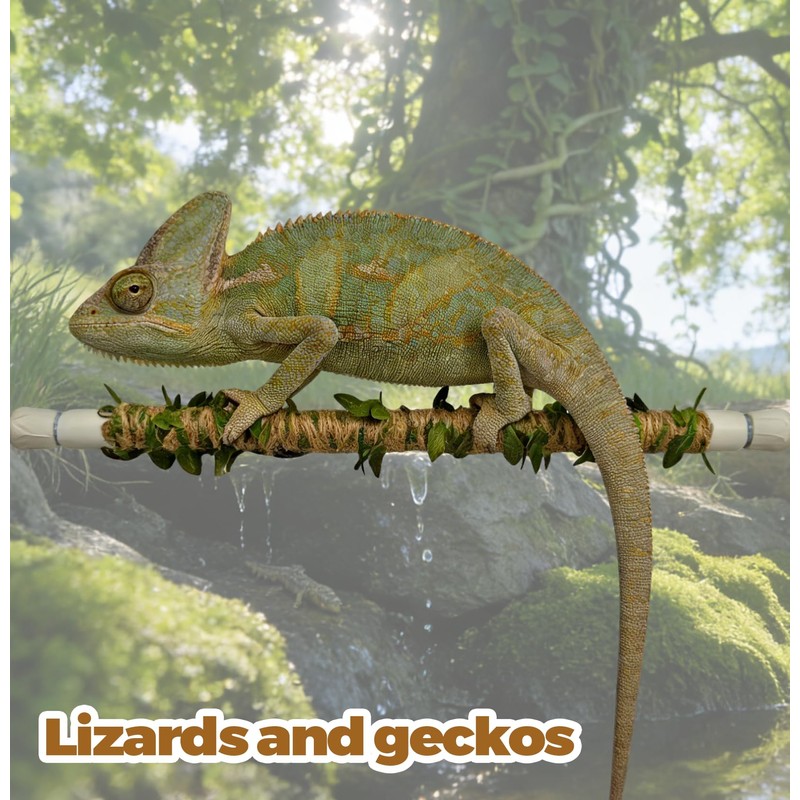 Play as Pro Snake Climbing Stick for Ball Python &