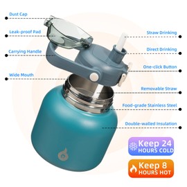 BJPKPK Insulated Water Bottles with Straw, 27 oz Cute Water Bottles with Handle, BPA Free Stainless Steel Metal Jug, Easy Carry Flasks for Men & Women, Light Blue