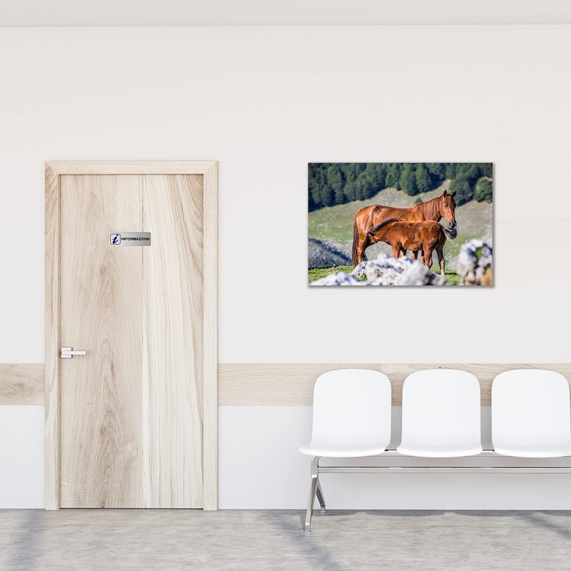 Nitek Nummernschild Informationen aus satiniertem Aluminium 150 mm x 150