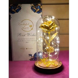 RBN Beauty and The Beast Rose Enchanted Flower with LED Light in Glass Dome for Christmas Valentine's Day Mother's Day Birthday Best Gifts for Girlfriend Wife Women Her - Gold