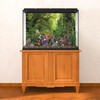 MIRRORANG 61x30cm Tropical Forest Terrarium Background Stream Green Huge Tree